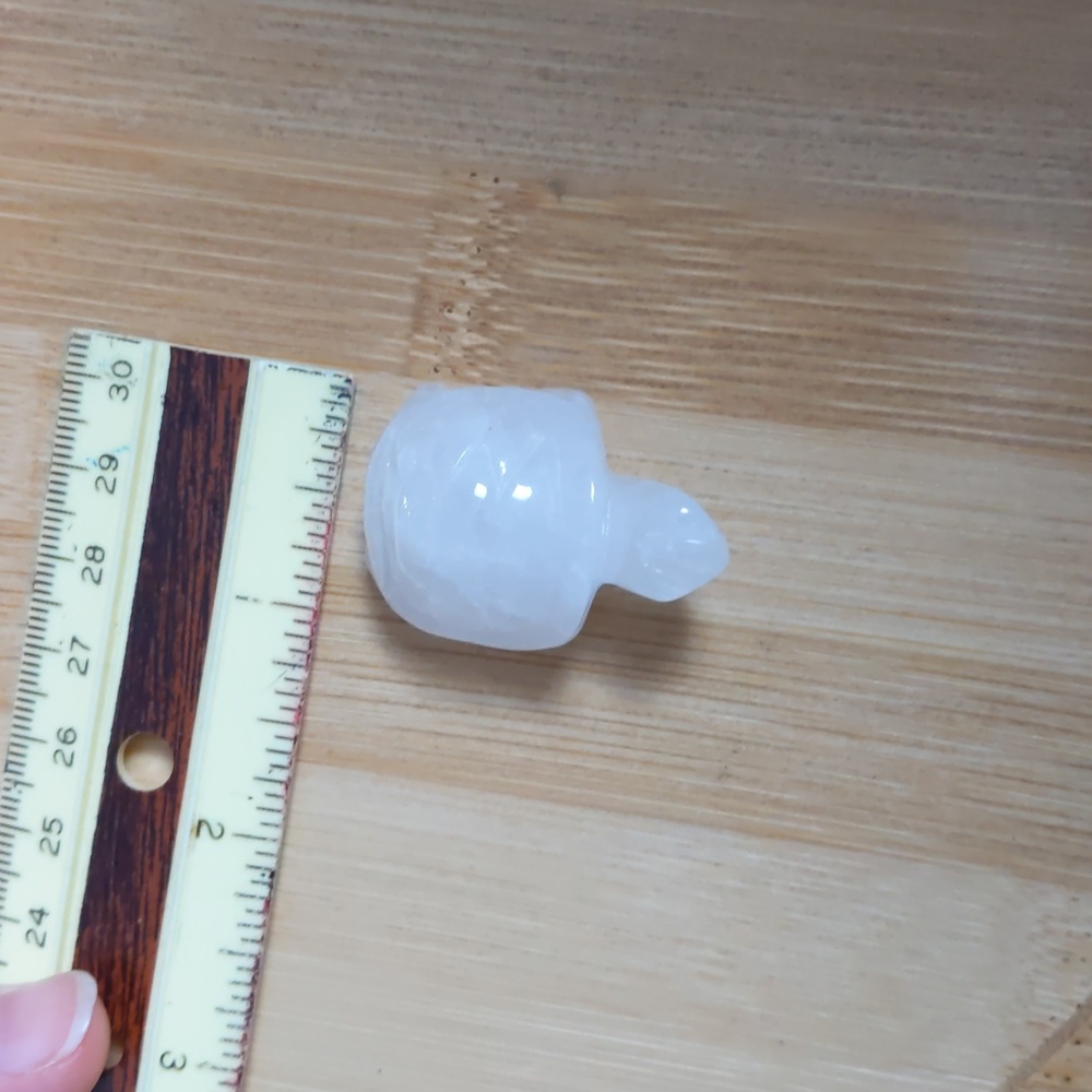 Mini Quartz Turtle 🐢 - Picture 5 of 12